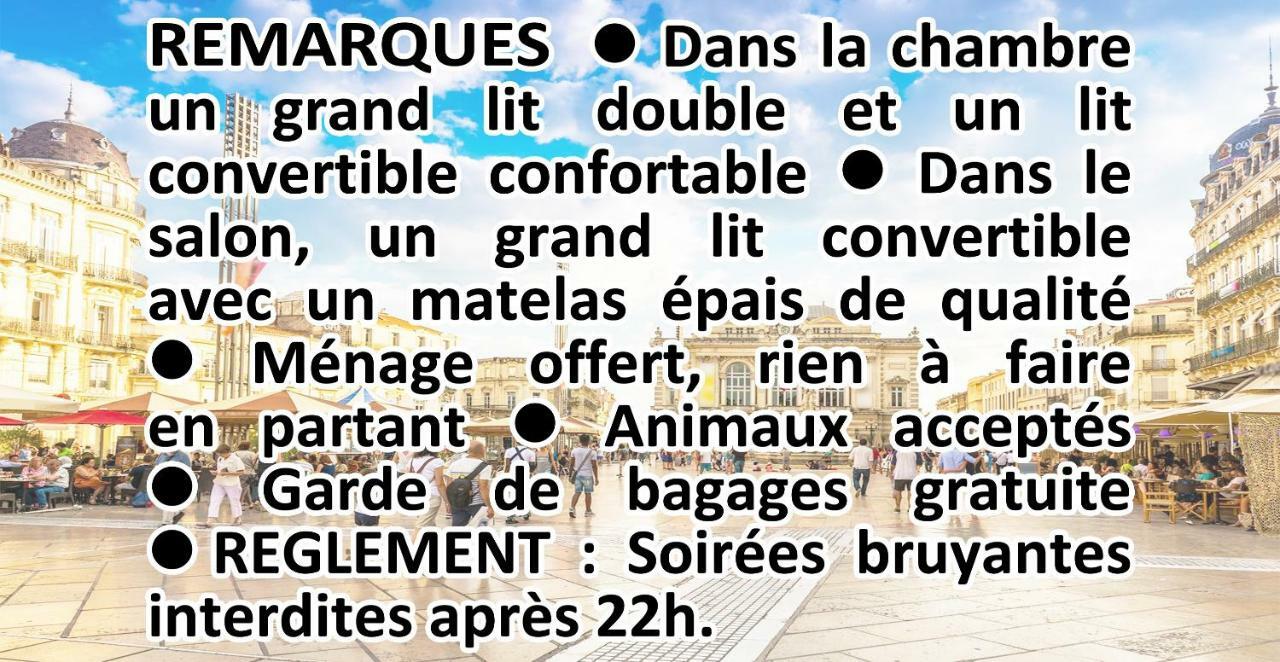 Comedie Musee-Fabre Parking Offert Climatisation Apartment มงต์เปอลิเยร์ ภายนอก รูปภาพ